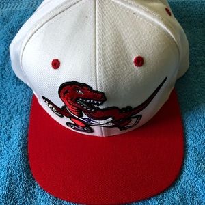 NBA Toronto Raptors SnapBack